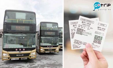 市民熱烈慶回歸 大眾同心共參與